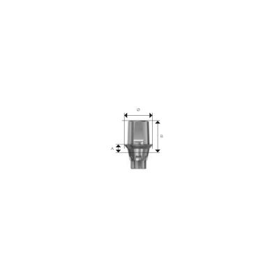 Pilier TitaniumBase EV Astra Tech - 1 P&egrave;ce + 1 Vis